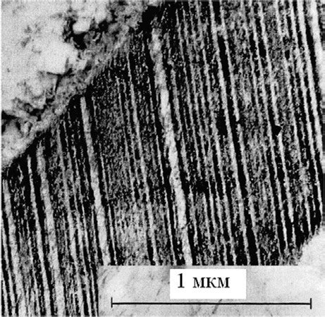 Typical structure of martensite crystals in 52KhN23 steel (twinned ...