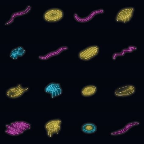 Parasite Icons Set Vector Neon 20246134 Vector Art At Vecteezy