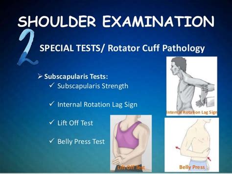 Clinical Shoulder Examination Osce