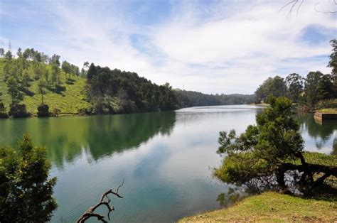 Ooty Glenmorgan