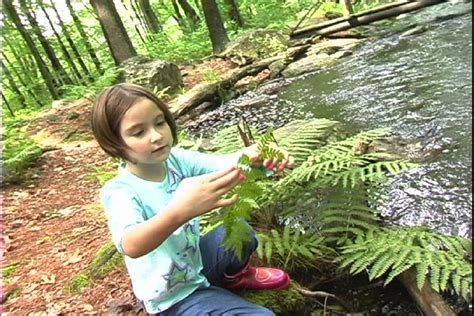 Watching Water Move Things | PBS LearningMedia