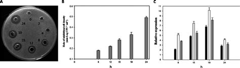 Antimicrobial Activity And Plantaricin Gene Expression Of Lactobacillus