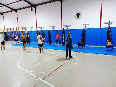 Cancha Hércules Icod de los Vinos Santa Cruz de Tenerife Centro