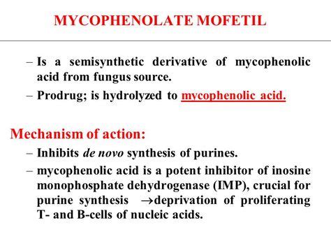 Mycophenolate Mofetil Mechanism Of Action - slidesharetrick