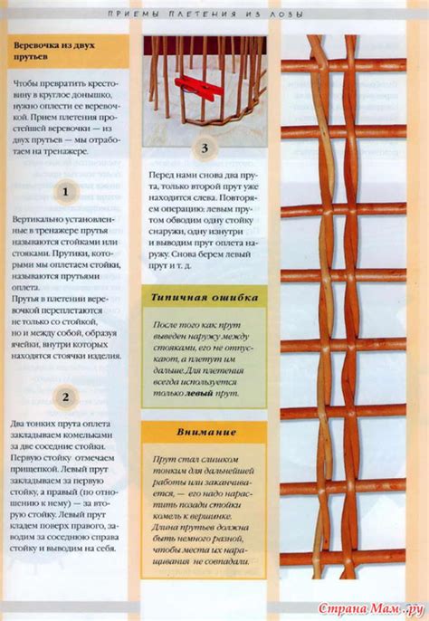 Плетение из лозы. КНИГА