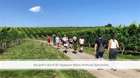 Natürlich Wein Impressionen der Weinwanderung Winzerverein Hagnau