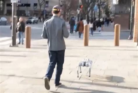 Passeggia In Strada Con Un Cane Robot La Reazione Degli Altri Passanti