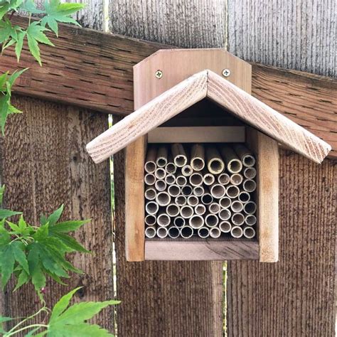 Bee Boxes Inviting Native Bees To Your Garden Native Bees Bee Boxes