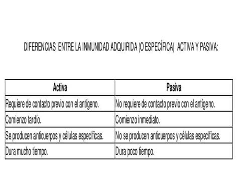 Aprende a organizar tus apuntes de Odontología Domina la Odontología