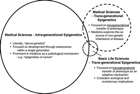 A Venn Diagram Of The Relationships Between And Characteristics Of Download Scientific