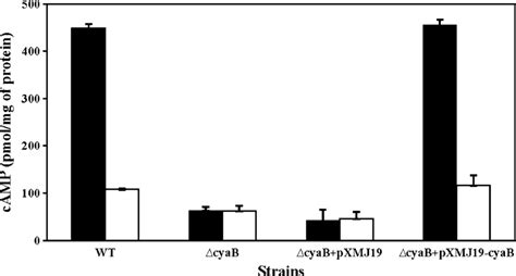 Determination of intracellular cAMP level in wild-type and cyaB mutant ... 