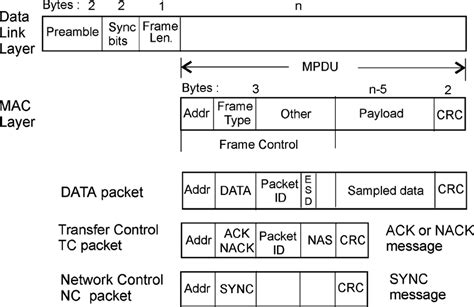 Structure Of A Data Packet