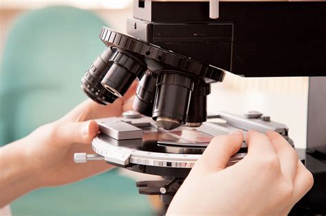 Второе мнение в гистологии от специалистов MedLogist