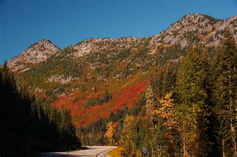 Fall Colors On Stevens Pass Washington Washington Washington State Natural Landmarks