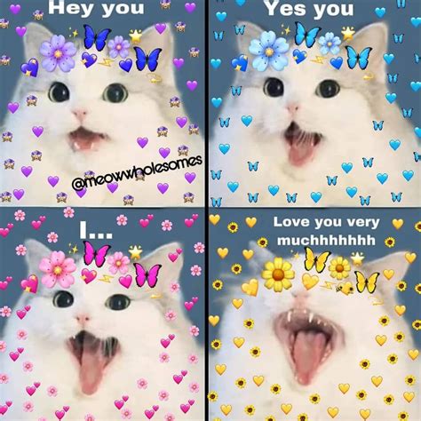 74 Meme Cats In Love Aesthetic