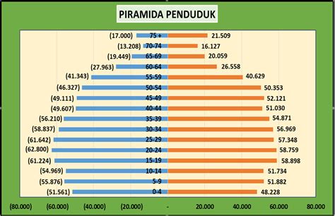 Data Jumlah Penduduk Indonesia Berdasarkan Usia