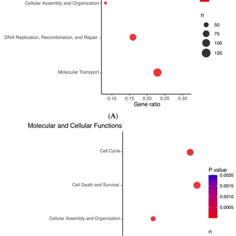 Ingenuity Pathway Analysis Ipa Prediction Of The Molecular And