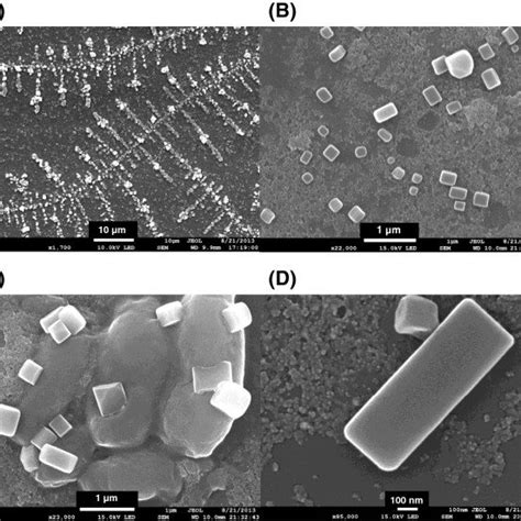 Hr Tem Images Of The Ew Aunps The Scale Bar Represents A Nm B