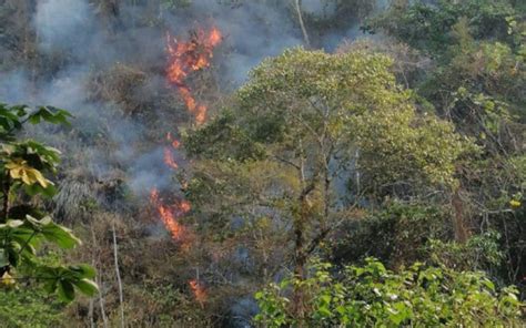 Nv Activan Operación Llovizna Para Sofocar Incendios En El Parque