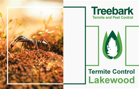 Lakewood Treebark Termite And Pest Control Services