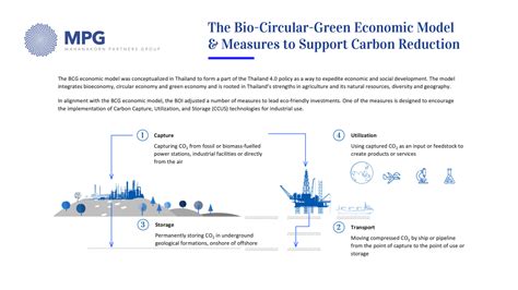 The Bio Circular Green Economic Model