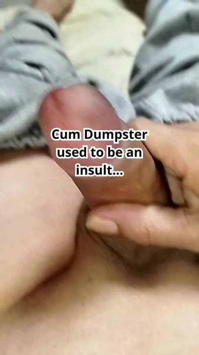 Are You A Cumdump Shemale Bareback Bareback Porn Feat Fernanda Soares XHamster