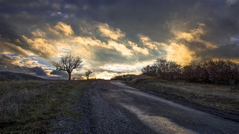 Wallpaper Sunlight Trees Landscape Sunset Hill Nature Grass