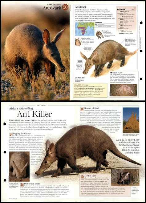 Aardvark #50 Mammals - Discovering Wildlife Fact File Fold-Out Card