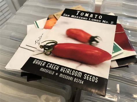 Buying Heirloom Tomato Seeds: Where to Buy + Helpful Tips – Backyard ...