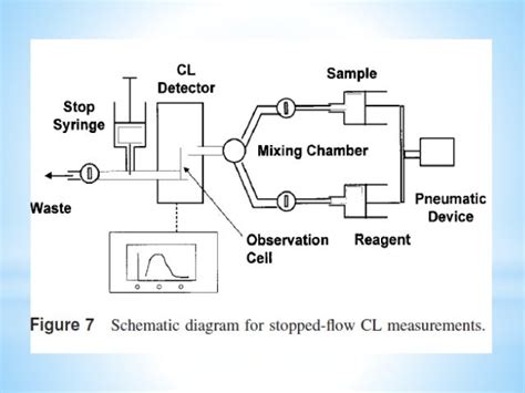 Immunoassay