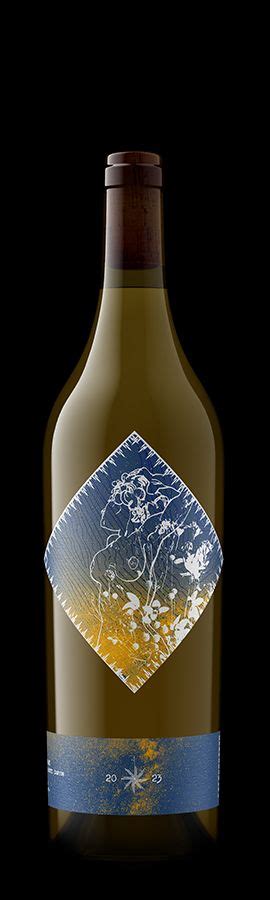 2023 Desparada Sauvignon Blanc Amphora Usa California Central Coast