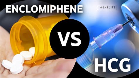 Enclomiphene Vs Hcg Which Is Better For Testosterone Ray Peat Forum