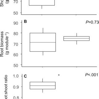 Shoot Biomass A Root Biomass B And Root Shoot Ratio C Of The