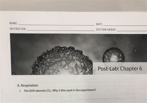 Solved Name Instructor Date Sectiongroup Post Lab