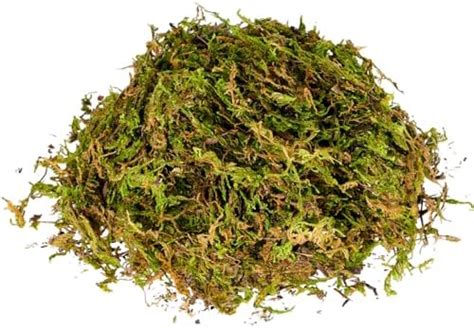 Dried Forest Moss For Potted Plants Orchid Moss Sphagnum Forest Moss