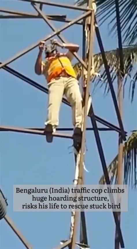 Bird Rescue Benguluru India Traffic Cop Climbs Huge Hoarding