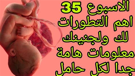 الاسبوع 35 من الحمل نهاية الشهر الثامن اهم التطورات لك ولجنينك Youtube