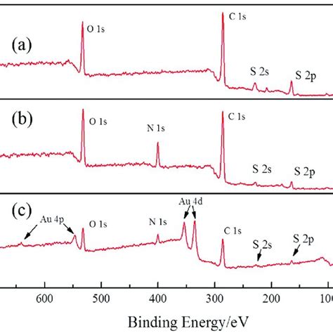 The Ftir Spectra For A Bsa B Pedot Pt C Pedot Bsa Pt And D