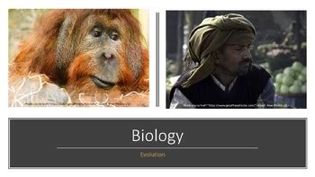 Biology: The Theory of Evolution The Complete Lesson Bundle | TPT