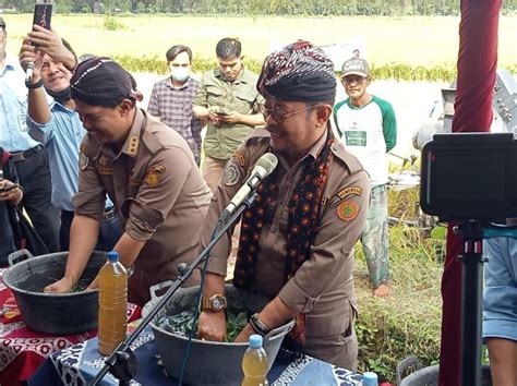 Kunjungan Menteri Pertanian Di Bantul Ajarkan Petani Caturharjo Pandak