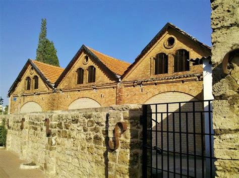 Carmel Winery - Rishon Le Zion Wine Cellars (Rishon Lezion) - 2021 All ...