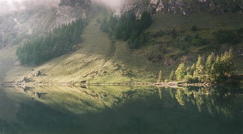 late summer. :: Behance