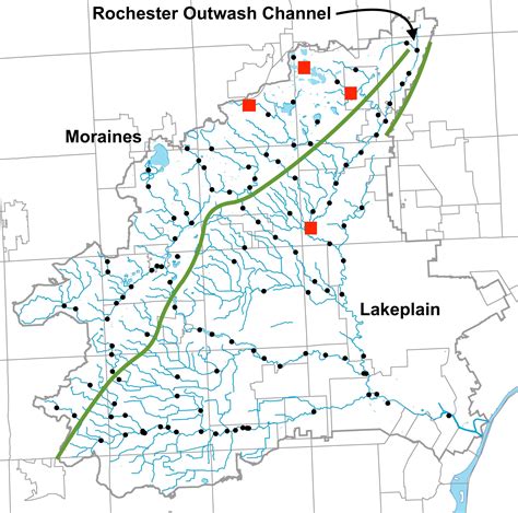 Blackchin Shiner - Friends of the Rouge