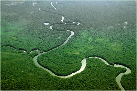 Amazonas La Selva Mas Extensa Del Mundo En Viajes