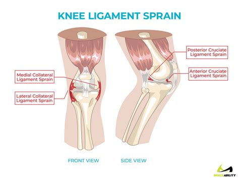 Pain Behind Knee | Why it Hurts in Back of or Under your Kneecap