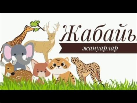 Жабайы жануарлар әлемі. 3-4жастағы балаларға арналған. Сөз. - YouTube