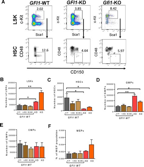 Frontiers Dose Dependent Effect Of Gfi Expression In The