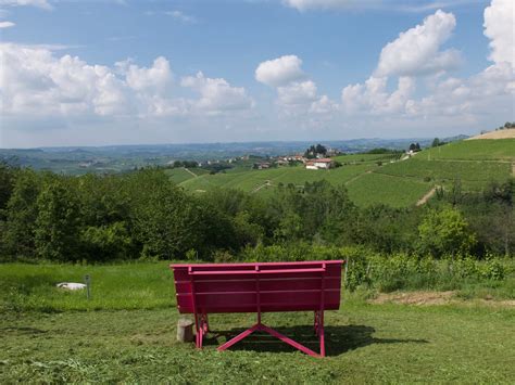 Becountry Picnic A Monforte D Alba Tra Borgo Vigneti E Panchine Giganti