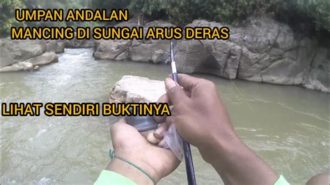 SENSASI MANCING DI SUNGAI ARUS DERAS YouTube