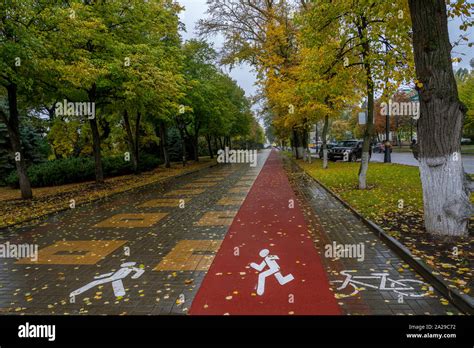 Bicycle Path Jogging Path And Footpath On The Alley Of The City Park